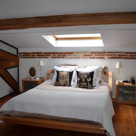 Maison d'hôtes Maison Toulousaine Lauma Toulouse