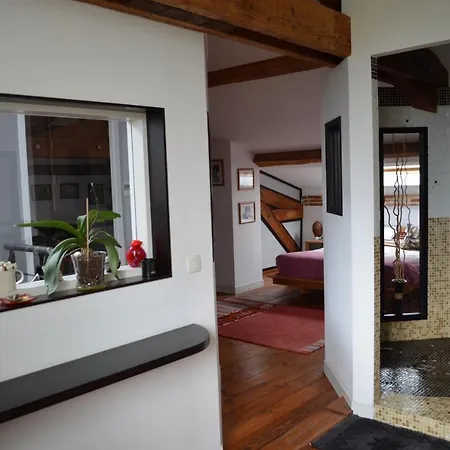 Maison Toulousaine Lauma Maison d'hôtes *