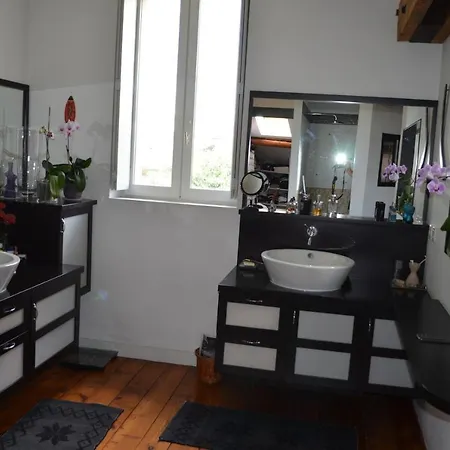 Maison d'hôtes Maison Toulousaine Lauma *